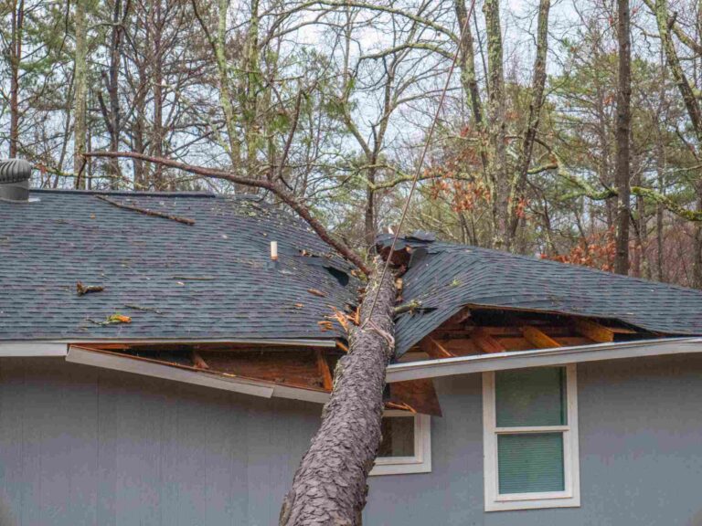 Storm damage restoration for fallen tree through residential roof by Paul Davis Restoration of NJ Delaware Valley